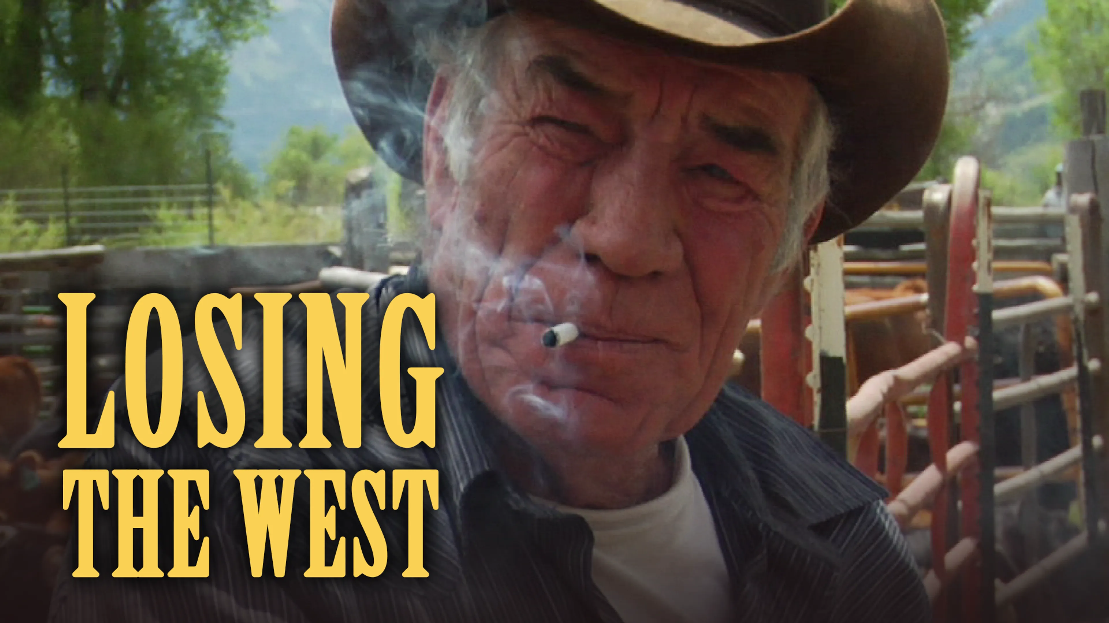 Losing the West poster